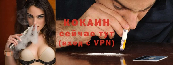 mdpv Каменка