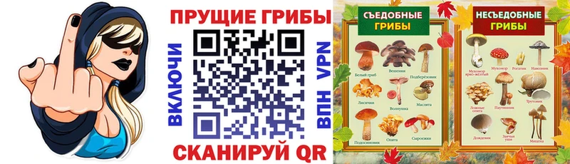 Купить закладки  Духовщина  Галлюциногенные грибы мицелий 